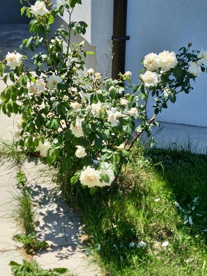 Fruskogorska Idila Apartmani Vrdnik Exteriér fotografie